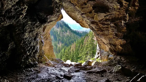 背後に木のある岩山 — ストック写真