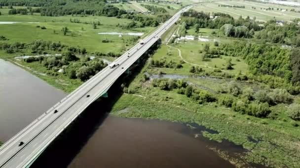 Een grote lange trein op een weelderig groen veld — Stockvideo