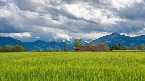 Znamení na trávě pokrytém poli — Stock fotografie