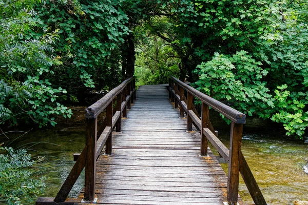 Вид Старый Деревянный Пешеходный Мост Пересекающий Реку Лесу — стоковое фото