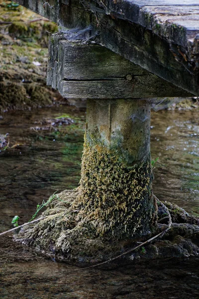 Vista Sobre Uma Antiga Coluna Musgo Woodbridge Água — Fotografia de Stock