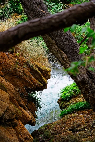 Вид Річку Крізь Скелі Впав Стовбур Дерева — стокове фото
