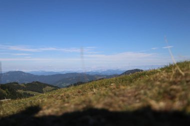 Düşük açılı yakın plan, arka planda açık mavi gökyüzü olan dağlardaki bir çayır.