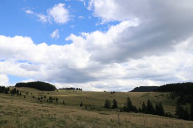 Yazın ormanları ve çayırları olan bir dağ manzarası