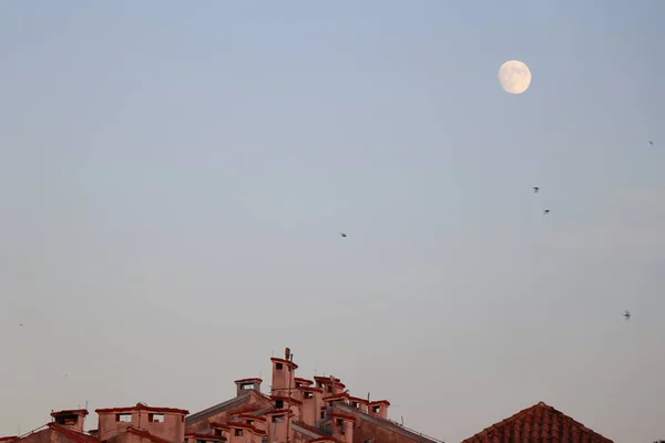 Vista Minimalista Tejados Con Chimeneas Con Gran Cielo Despejado — Foto de Stock