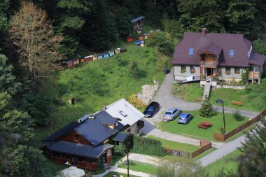 Ormandaki arıcılık çiftliğinin yüksek açılı görüntüsü