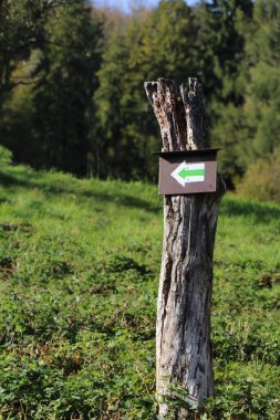 Tahta bir direkte yeşil ok izi görüntüsü