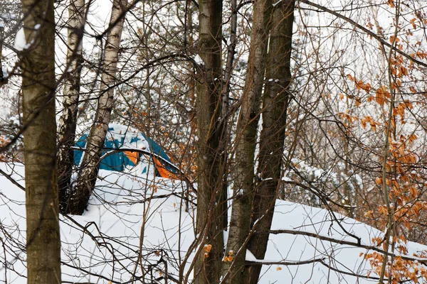 Вид Намет Деревами Лісі Взимку — стокове фото