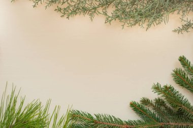 Köknar dalları bej ahşap düz yatıyordu.