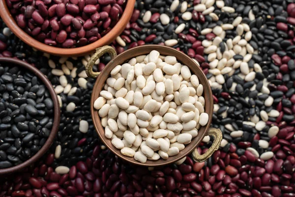 white beans in copper bowl, brown ceramic bowl and wooden bowl of beans. black bean, red kidney bean. navy bean, cannellini bean, white kidney bean. scattered various beans.