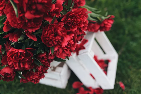 하얀 나무 상자에 있는 붉은 꽃들 — 스톡 사진