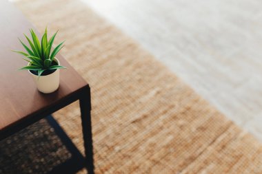 İçindeki sehpanın üzerindeki kaktüs. Terracotta halısı. Bulanık arkaplan