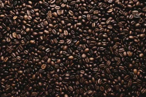 Contexte avec gamme de grains de café secs — Photo