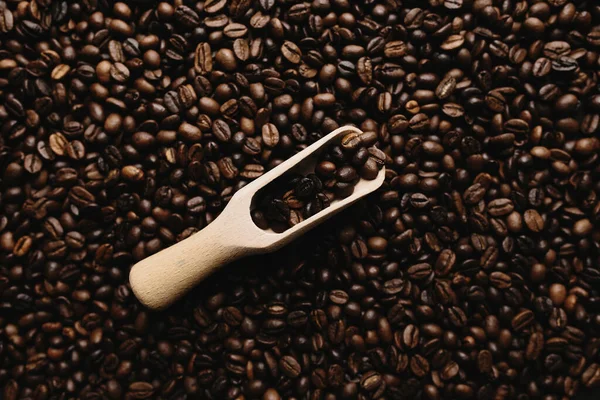 Arrière-plan avec gamme de grains de café secs et cuillère — Photo