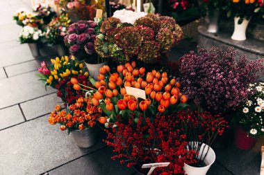 Bir mağaza vitrininde farklı çiçekler boş fiyat etiketleriyle gösterilir