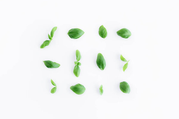 Flat lay with green basil and mint leaves on white background. Healthy eating and cosmetics concept. High quality photo