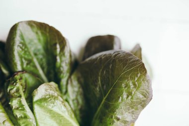 Beyaz arka planda taze yeşil romaine salatası yaprakları. Sağlıklı vejetaryen yeme konsepti. Yüksek kalite fotoğraf