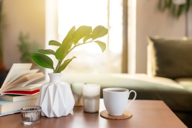 Evde mumlar, kahve fincanı, kitaplar ve ahşap masada zamioculcalarla rahatlama zamanı. Sarı yastıklı yeşil kanepe. Güneş ışınları. Yüksek kalite fotoğraf