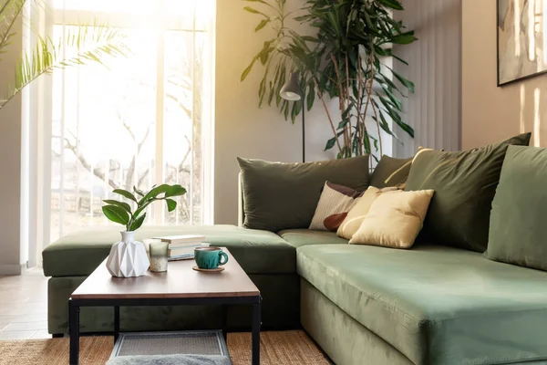 Relaxing time at comfort home with candles, coffee cup, books and vase with zamioculcas at wooden table. Green sofa with yellow pillows. Rays of sun. High quality photo