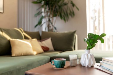 Evde mumlar, kahve fincanı, kitaplar ve ahşap masada zamioculcalarla rahatlama zamanı. Sarı yastıklı yeşil kanepe. Güneş ışınları. Yüksek kalite fotoğraf