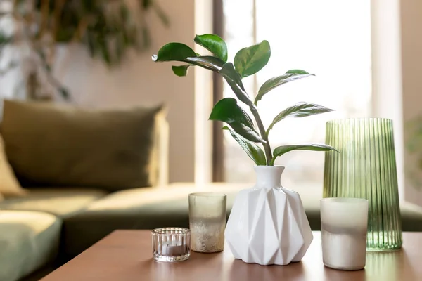Entspannte Zeit Hause Mit Kerzen Und Vase Mit Zamiokulas Holztisch — Stockfoto