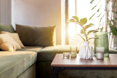 Evde mumlar ve vazoyla rahat zaman geçirmek ve ahşap masada zamioculca yemek. Sarı yastıklı yeşil kanepe. Güneş ışınları. Yüksek kalite fotoğraf