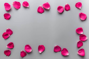 Gri arka planda kırmızı gül yaprakları grubu. Sevgililer günü, düğün ya da nişan için tebrik kartı maketi