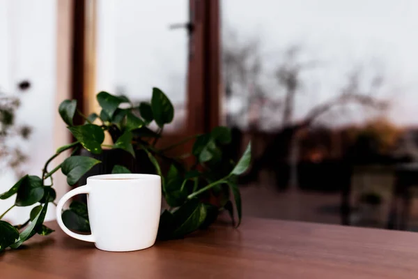 Taza Café Mesa Terraza Marrón Madera Durante Puesta Sol Noche — Foto de Stock