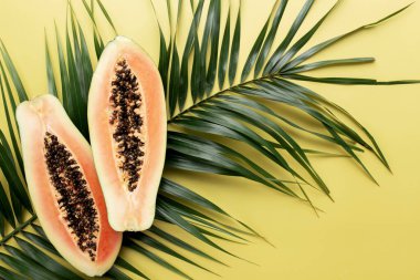 Palmiye yaprağında taze tropikal papaya meyveleri var. Sarı arka plan manzarası düz. Reklam metinleri için.