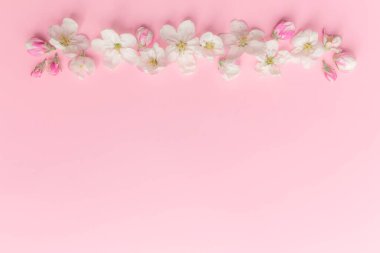 Elma çiçeği süsleme kenarlı pembe arka planda yatıyordu