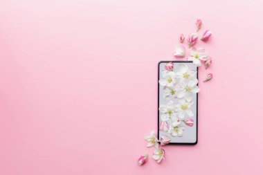 Pembe düz konsept taze bahar ve romantik içerik, telefon, çiçek