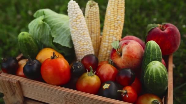 Wooden basket box or crate with different vegetables, fruits after harvesting — Stock Video