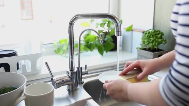 Manos placa de lavado con esponja, jabón en la cocina en el fregadero bajo el agua corriente — Vídeos de Stock