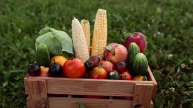 Çiftçi elleri farklı sebze ve meyvelerle dolu sepet ya da sandık alır.