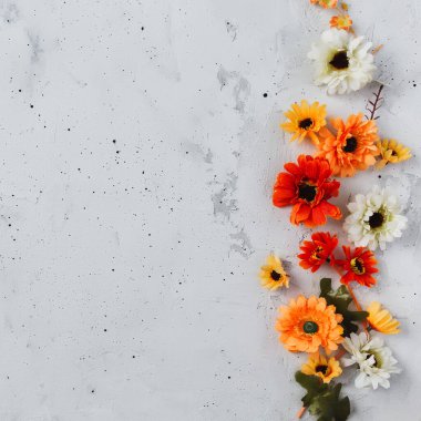 Renkli sonbahar çiçek başlıklarıyla gri beton düz zemin