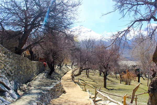 Dağa giden bir yol, Hunza Vadisi Dağları manzarası, Kuzey Pakistan, Gilgit-Baltistan