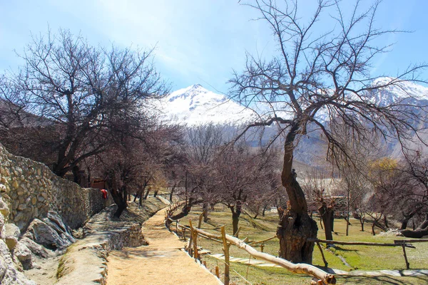 Dağa giden bir yol, Hunza Vadisi Dağları manzarası, Kuzey Pakistan, Gilgit-Baltistan