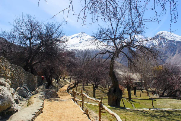 Dağa giden bir yol, Hunza Vadisi Dağları manzarası, Kuzey Pakistan, Gilgit-Baltistan