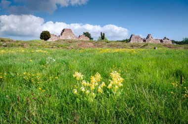 Rus kalesi Bomarsund 'un kalıntıları. 19. yüzyıl Finlandiya, Aland Adaları.