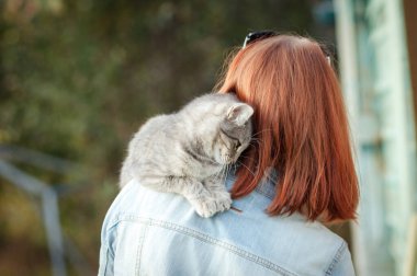 Gri tekir kedi, kızın omzunda oturuyor.