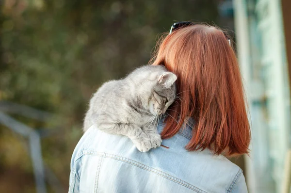 Gri tekir kedi, kızın omzunda oturuyor.