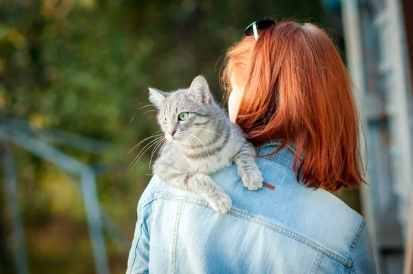 Gri tekir kedi, kızın omzunda oturuyor.