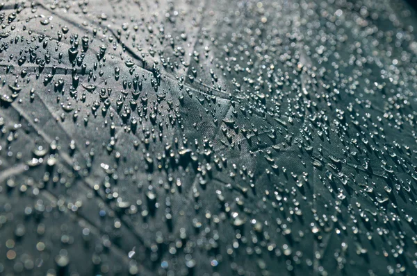 Çiy ile kumaş çadır yüzeyine düşer