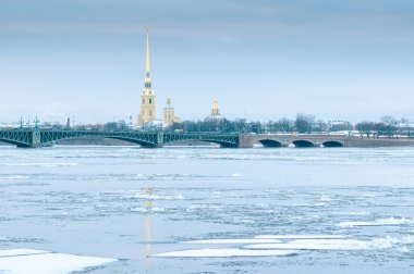 Peter ve Paul Fortress görünümünü. Saint Petersburg
