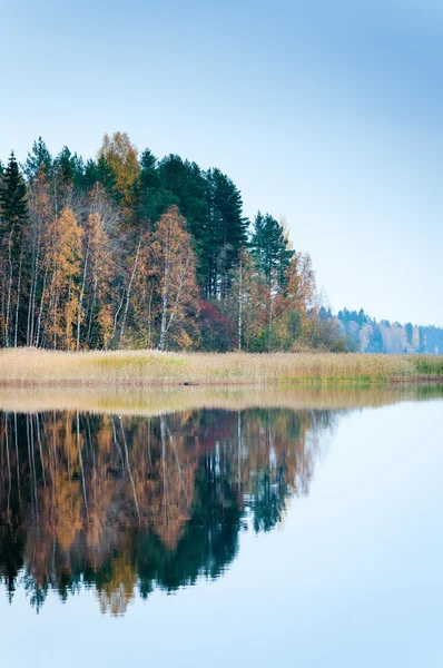 Reflections sonbahar ağaçların göl Janisjarvi. Karelya
