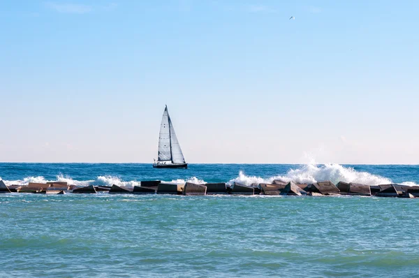 Denizde beyaz yelkenli