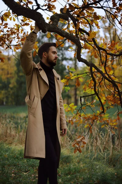 Sakallı, koyu renk saçlı, bej yağmurluklu yakışıklı bir adam, arka planda sarı yapraklı bir ağacın yanında duruyor sonbahar ormanı..