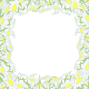 vahşi krizantem çiçekli çerçeve