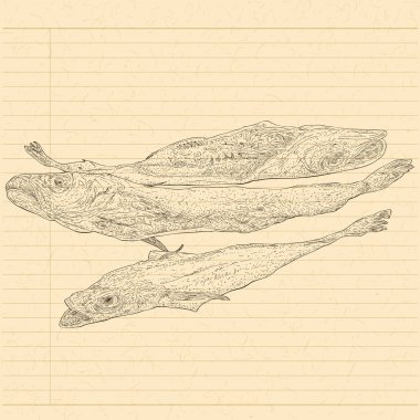 kurutulmuş walleye pollack kroki