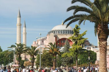 Türk camisi ve palmiye ağaçları  